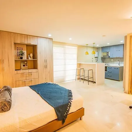 Apartamento Stylish Loft, Balcony, Fast Internet, Parking 210